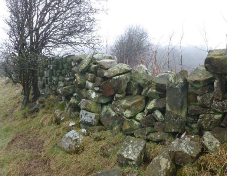 Rundown dry stone wall.