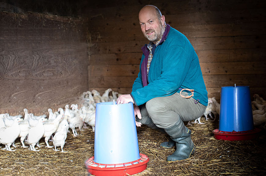 Farmer crouched in a shed with adolescent chickens by Polly Baldwin