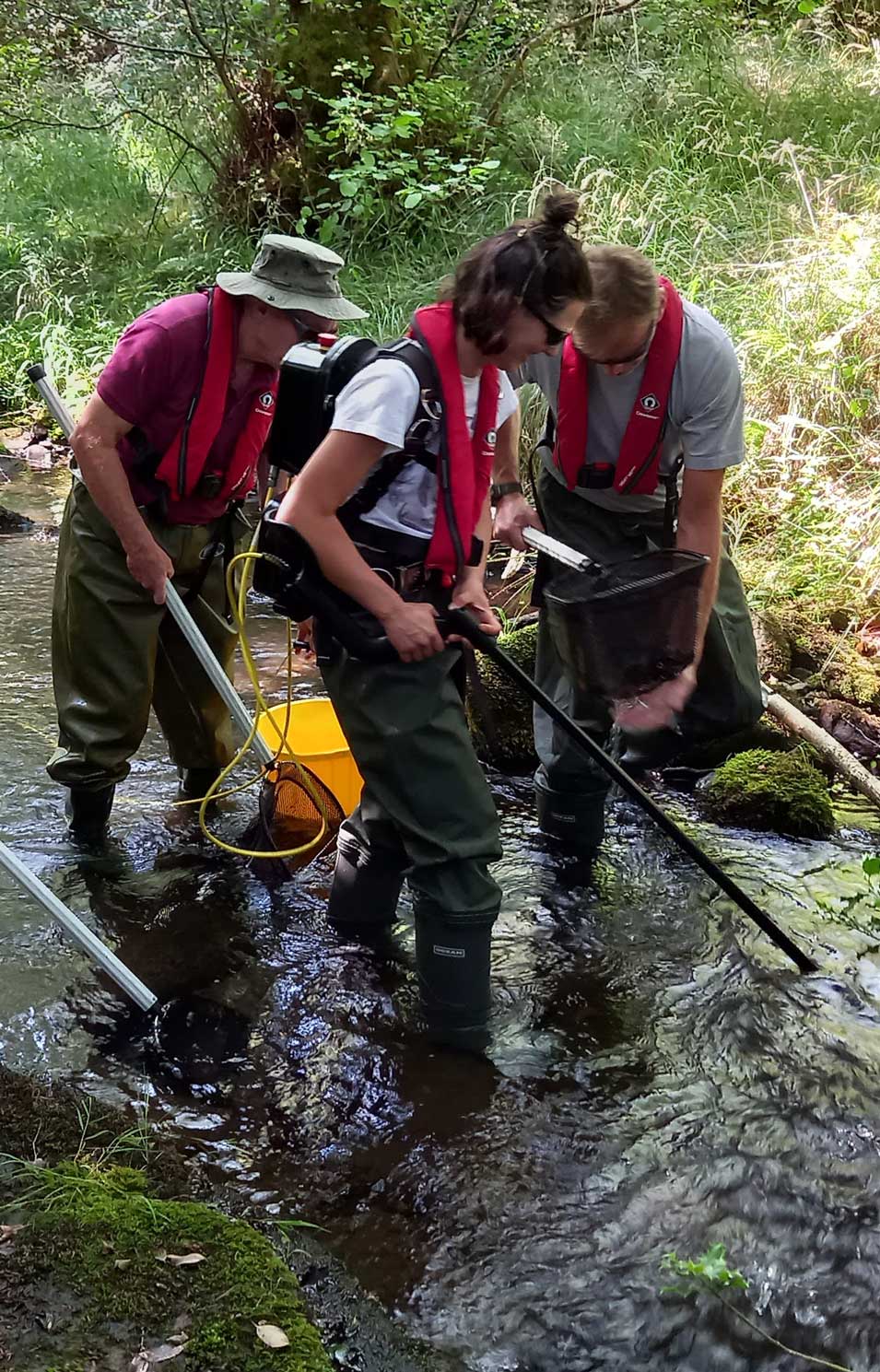 Group of people in a river carrying out e-fish surveys.