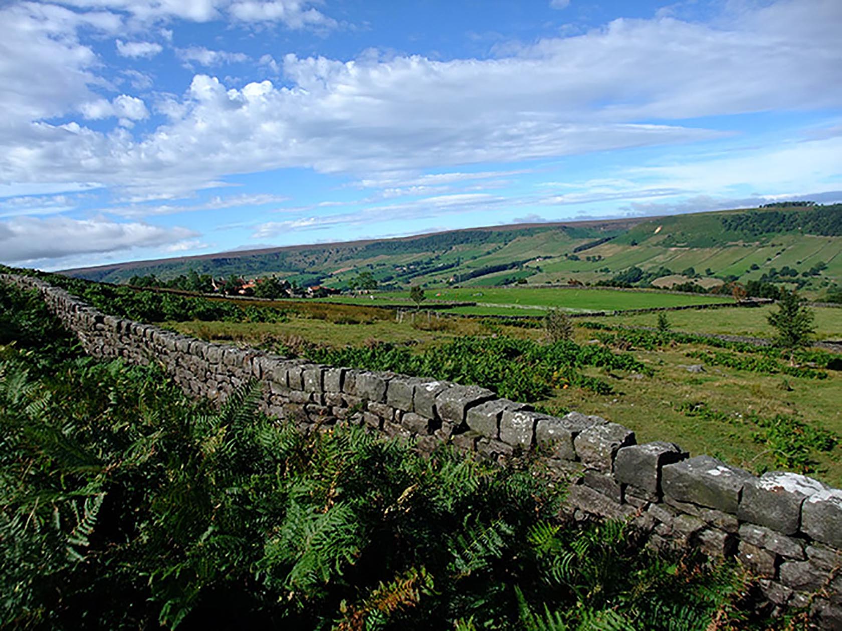 Dry stone wall in landscape by NYMNPA