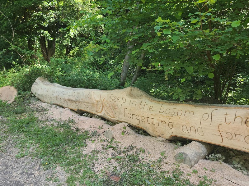 Litte Beck Wood carving by Steve Iredale