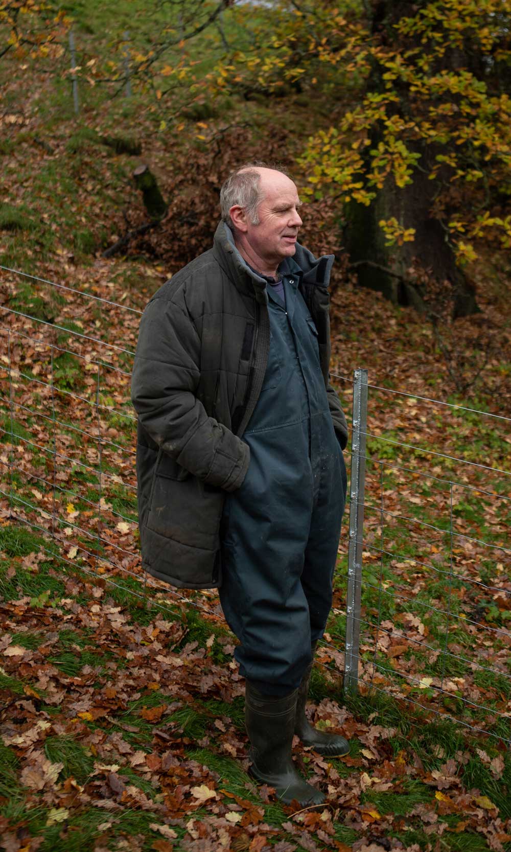 Portrait photo of Stephen Sanderson standing among an autumnal scene. Credit Charlie Fox.