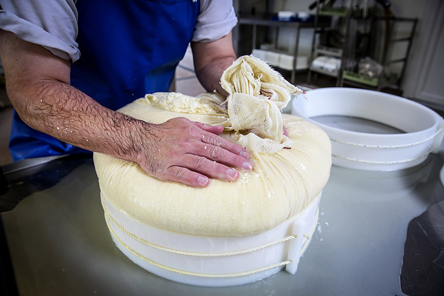 Hands pushing curds into a mould by Ceri Oakes