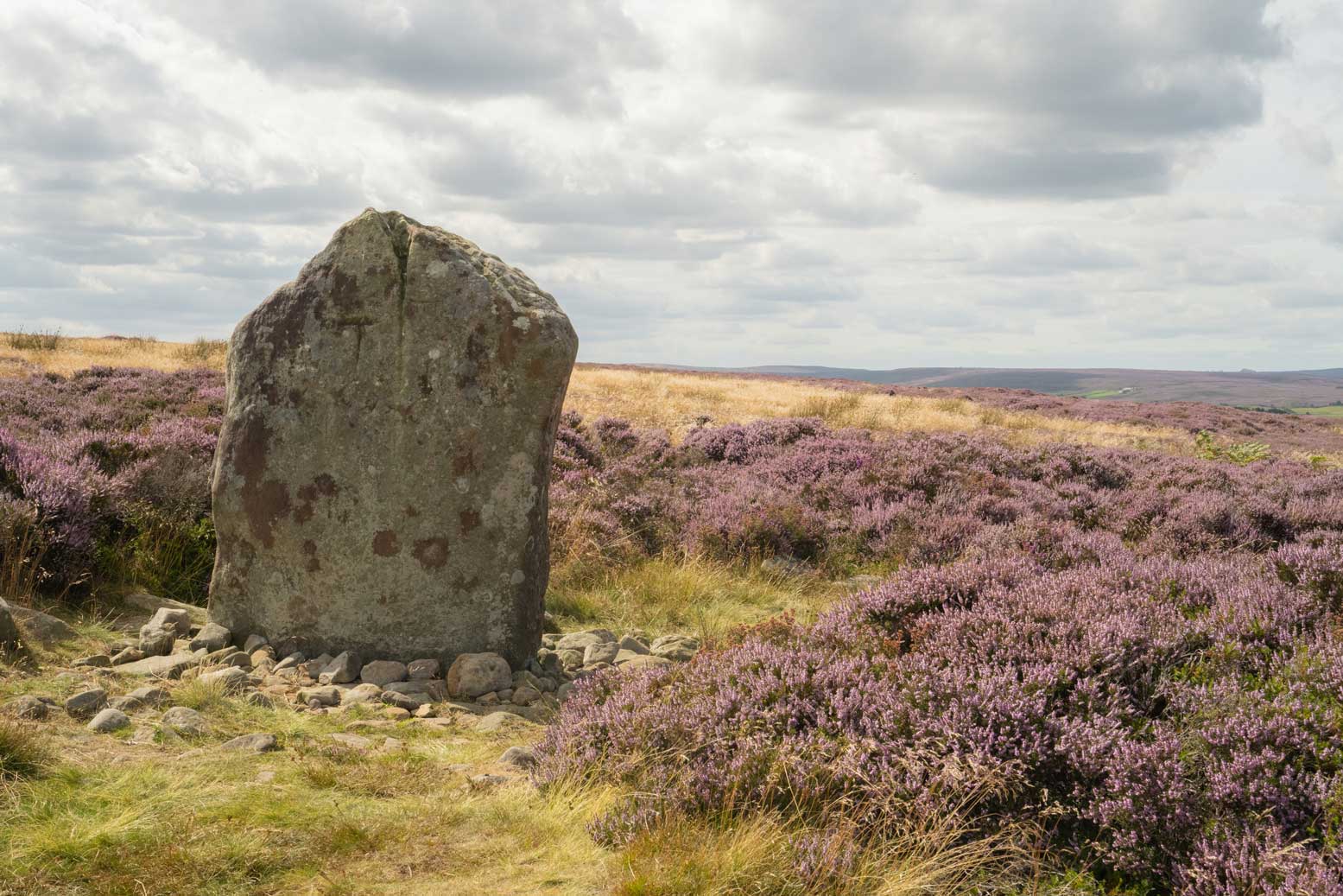 Standing stone among moorland. Credit James Hines.