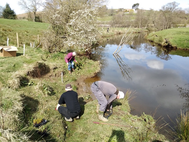 Tree planting by a river in the North York Moors 