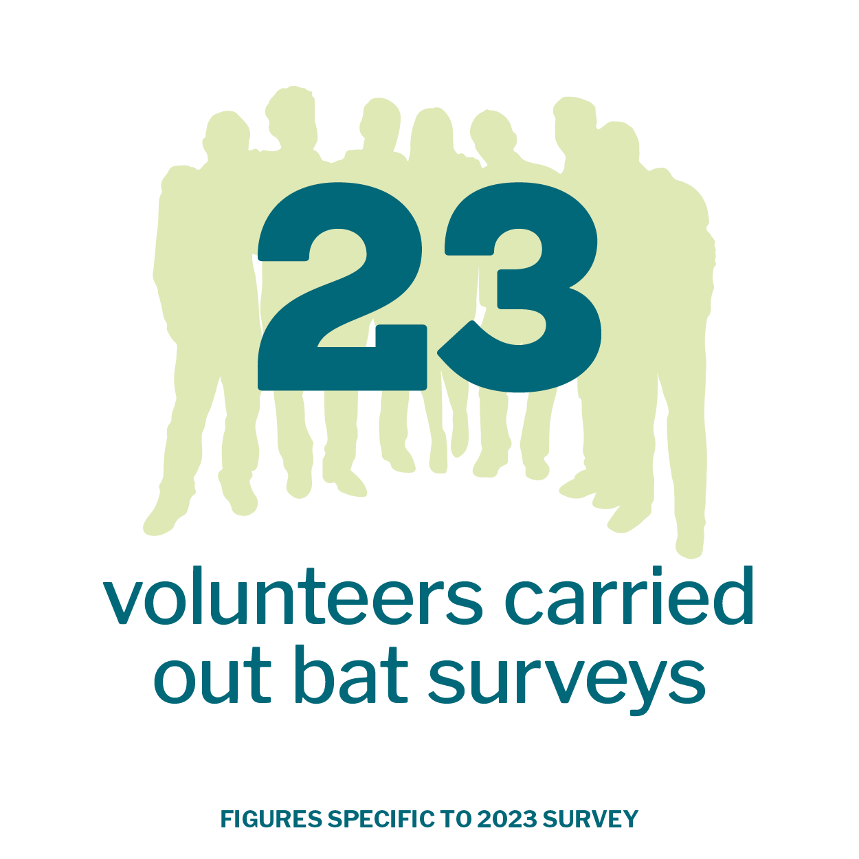 Volunteer infographic that reads '23 volunteers carried out bat surveys. Figures specific to 2023 survey'.