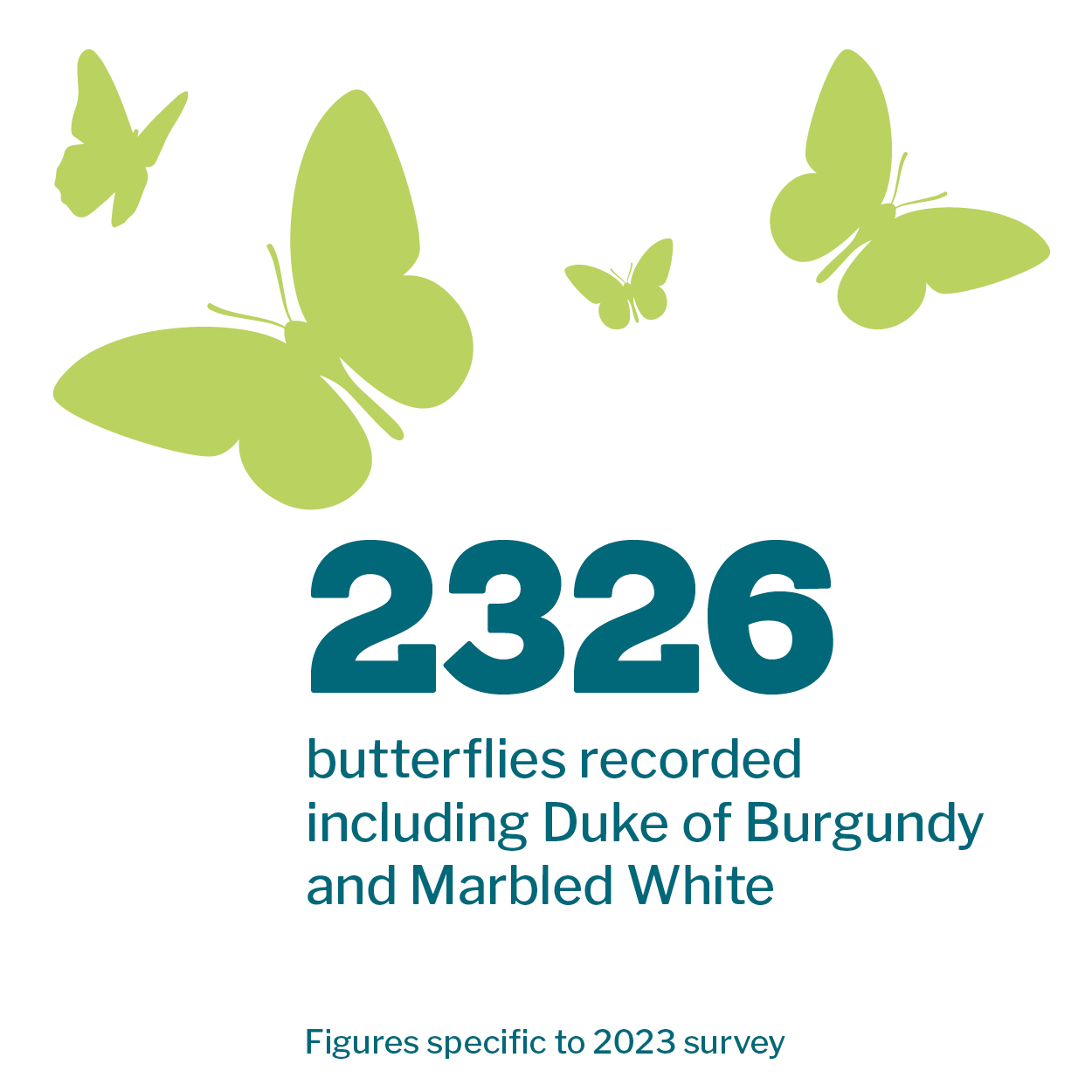 Butterfly infographic that reads '2326 butterflies recorded including Duke of Burgundy and Marbled White. Figures specific to 2023 survey.' 