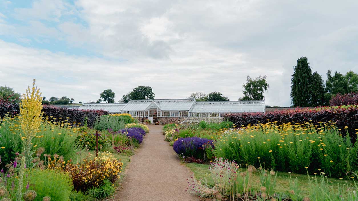 Newly restored Orchid House at Helmsley Walled Garden. Credit Anglo American.
