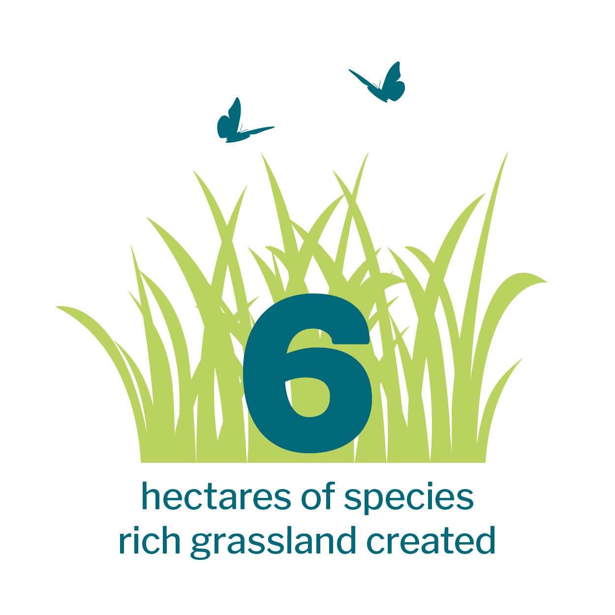 Grass and butterfly icon that reads: 6 hectares of species rich grassland created