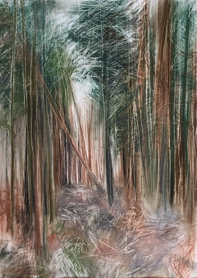 Pine' Janine Baldwin pastel charcoal and graphite on paper 67 x 48cm