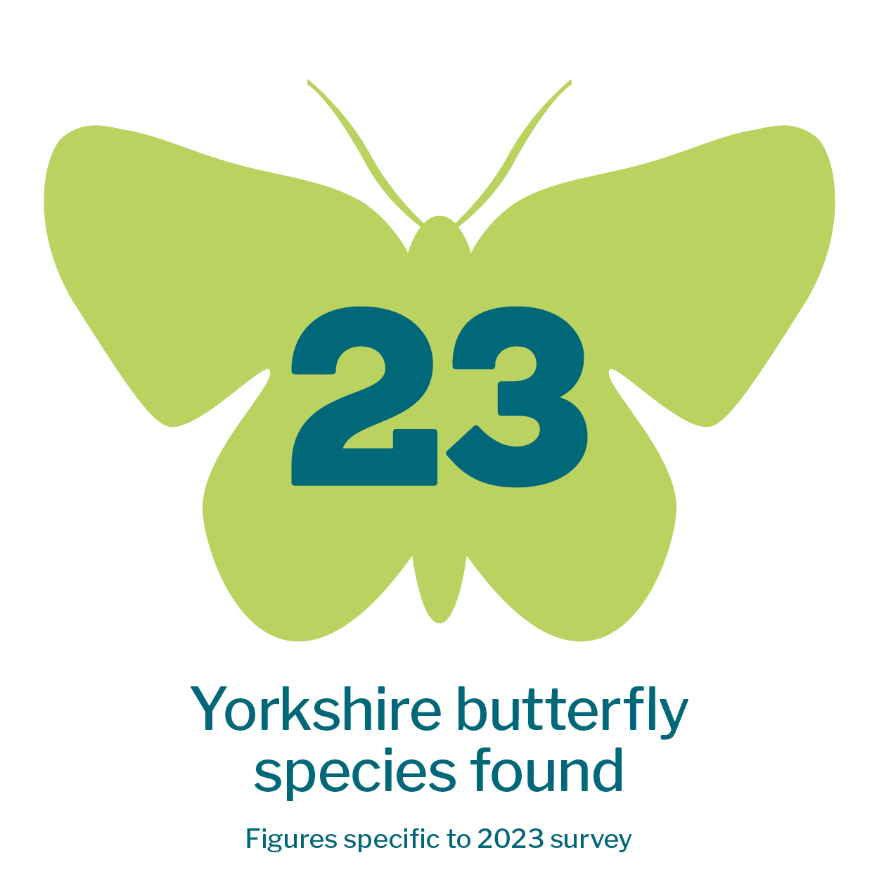 Butterfly infographic that reads '23 Yorkshire butterfly species found. Figures specific to 2023 survey.' 