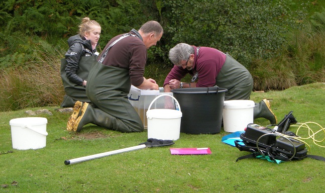 Participants examine fish in buckets on edge of river 