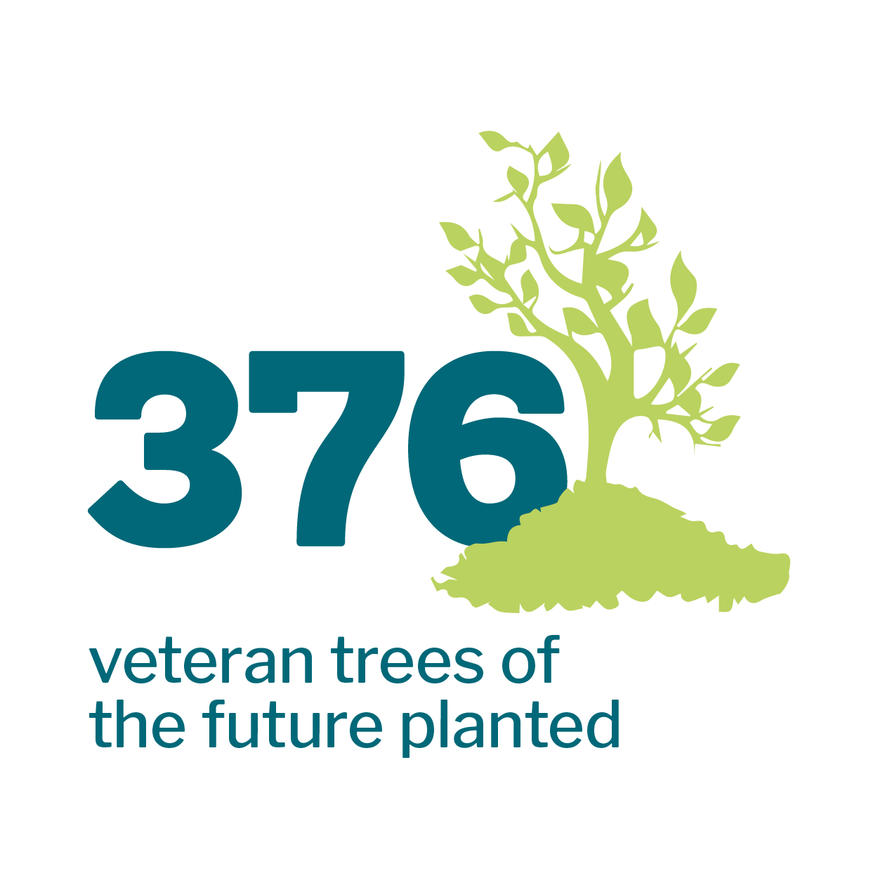Tree planting icon that reads: 376 veteran trees of the future planted