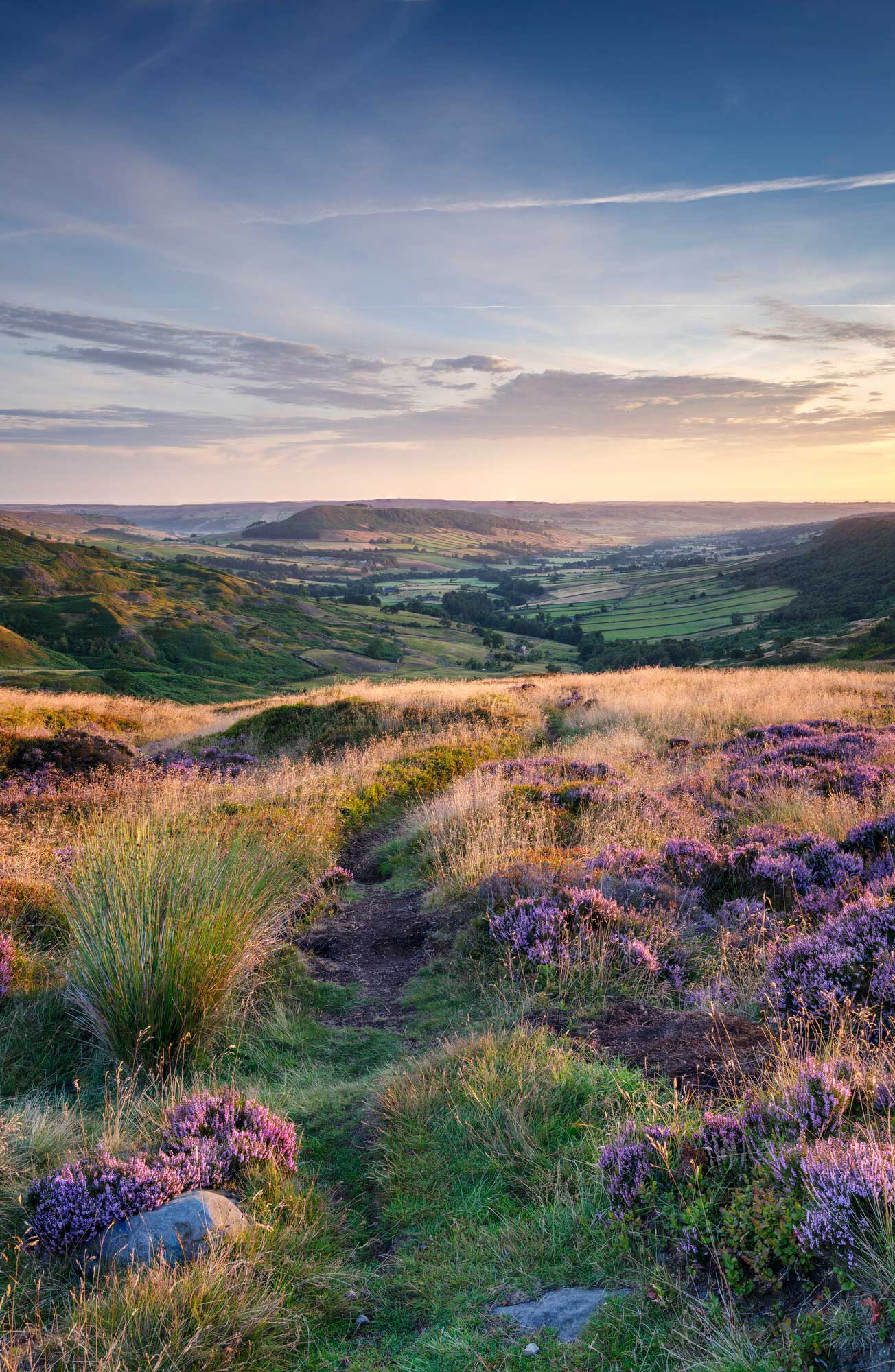 Landscape photo of a dale with moorland in the foreground. Credit Paul Kent.