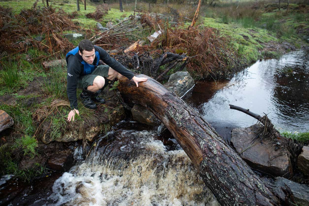 Large woody material, such as logs in a river. A male is inspecting them from the river bank. Credit Charlie Fox.