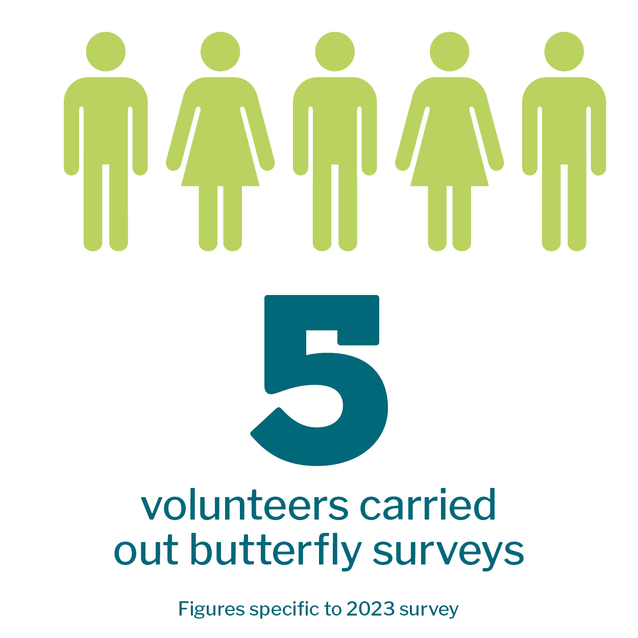 Infographic that reads '5 volunteers carried out butterfly surveys. Figures specific to 2023 survey.' 